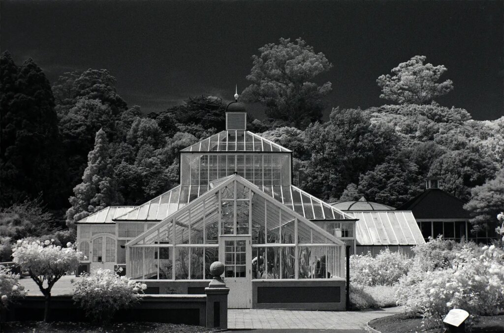 Tropical House, Dunedin Botanic Gardens.