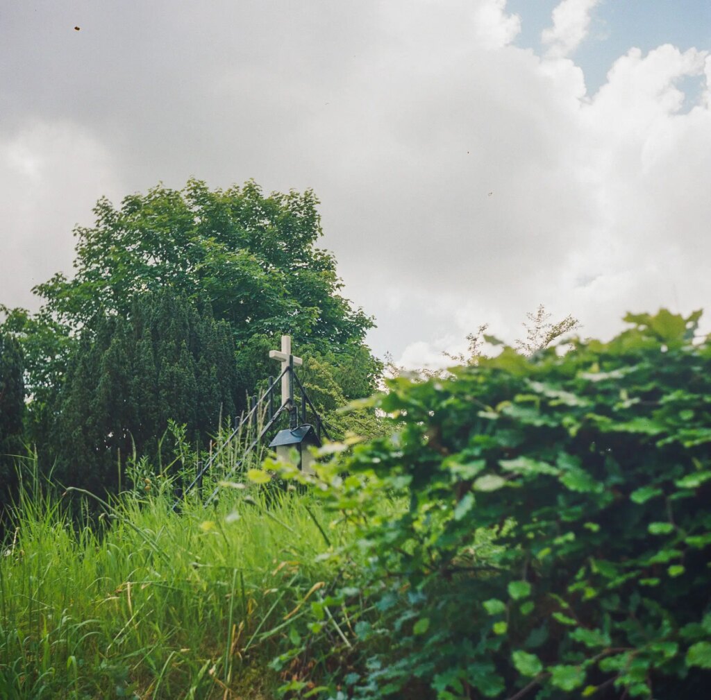 The top of a church gate poking out amongst foliage