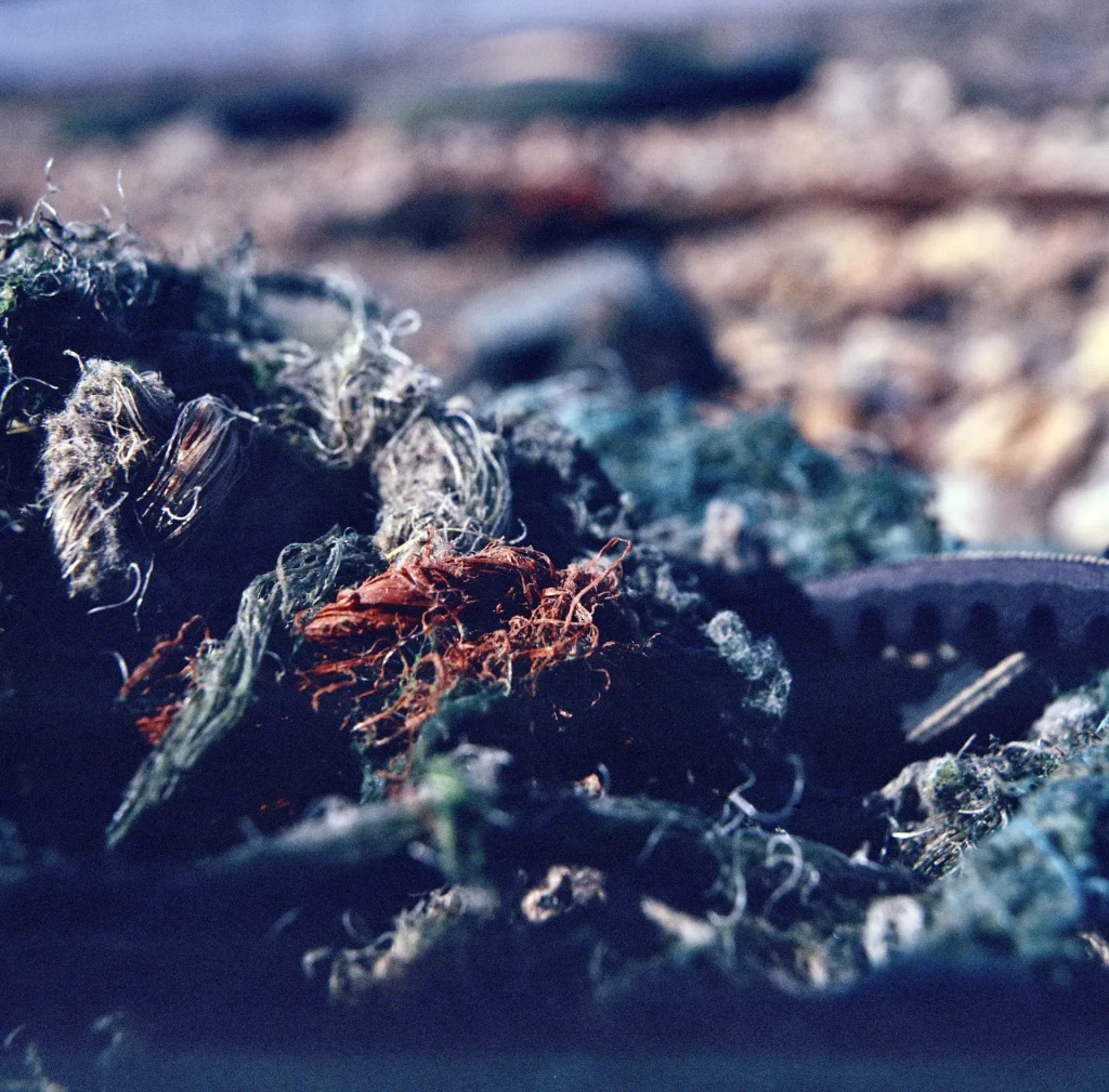 Macro photograph of netting on rocks