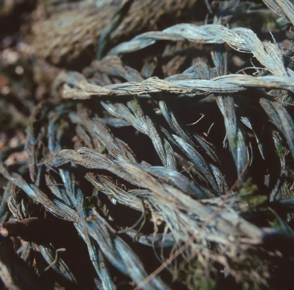 A macro photograph of cabling