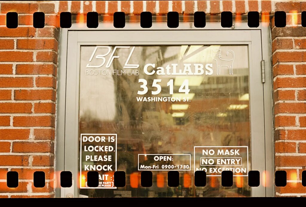 CatLABs new X FILM 120 Color sample image