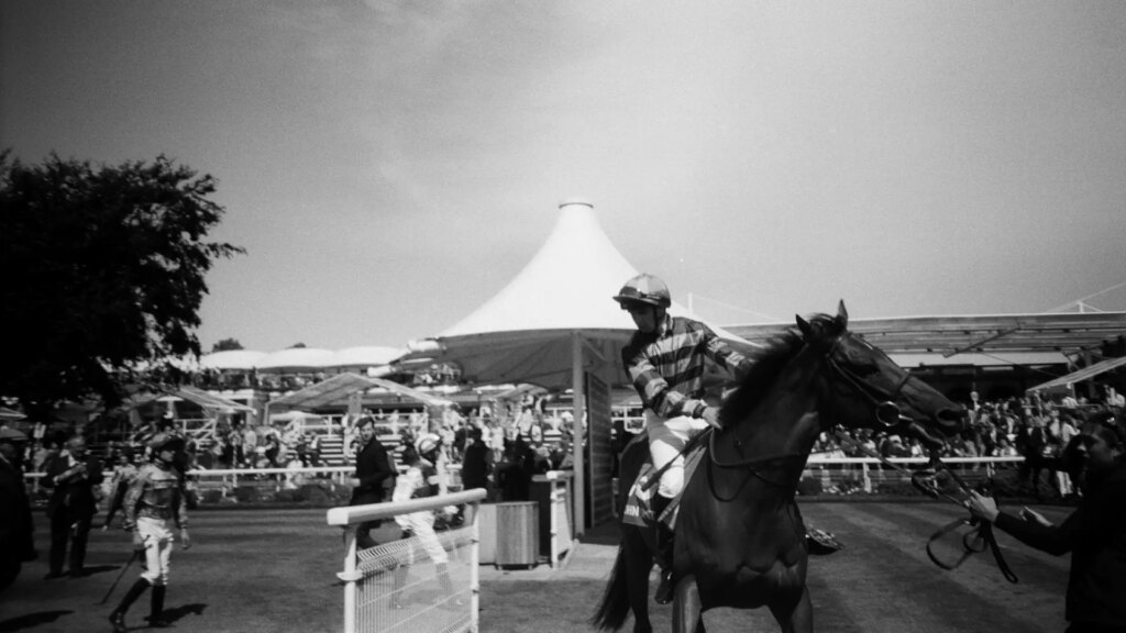 Racehorse and jockey in the parade ring