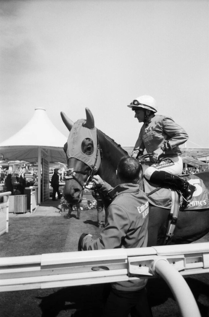 Racehorse and jockey close up