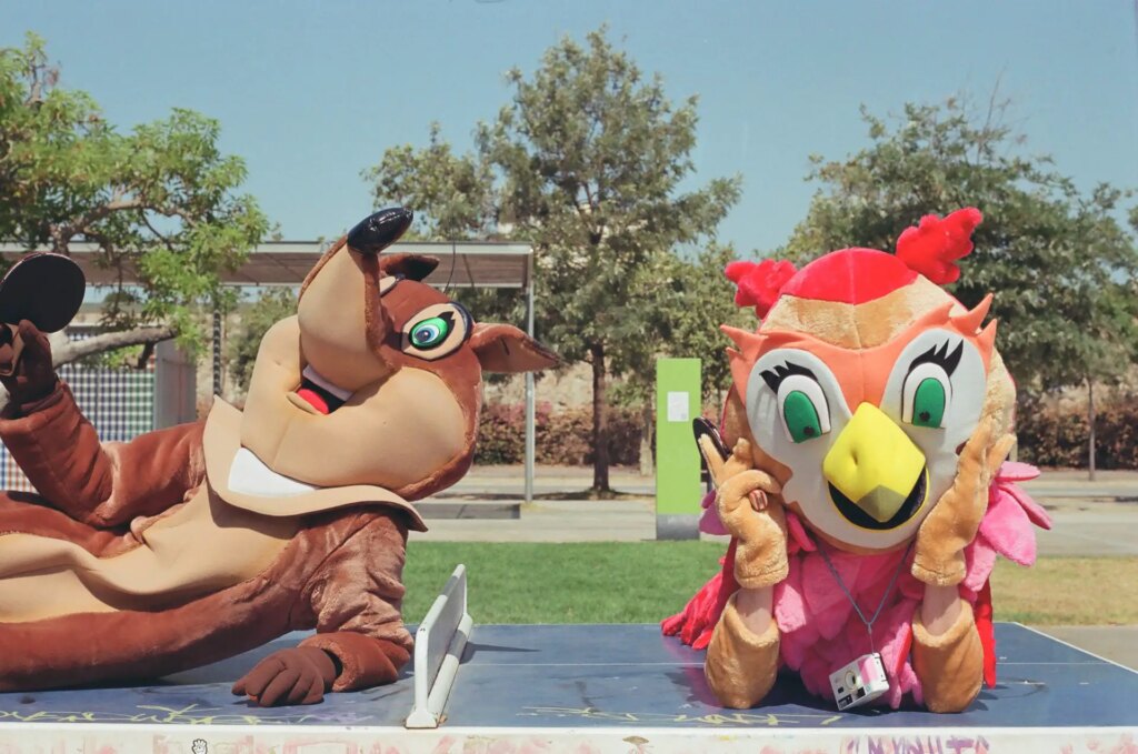 people dressed in animal costumnes lay on top of a ping pong table