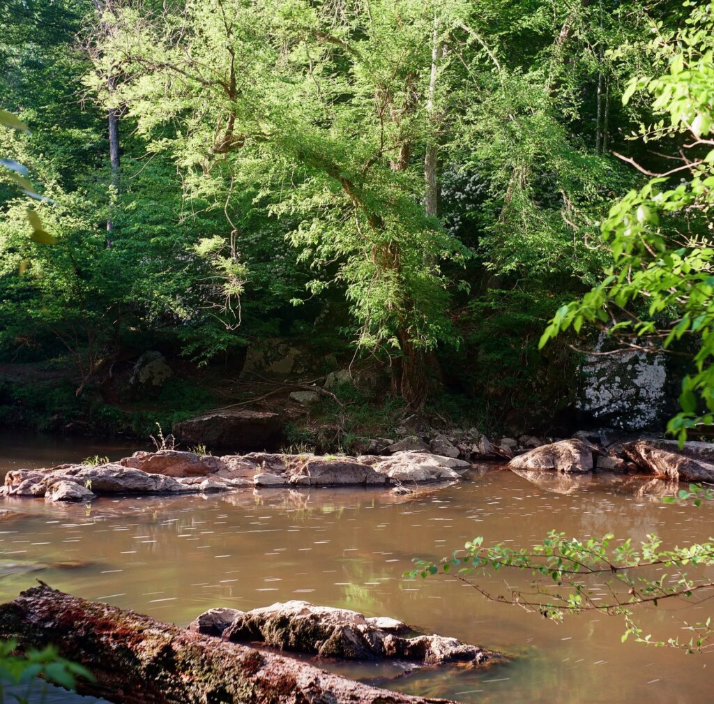 Sunny scene of moving water at Eno River State Park in Durham, North Carolina, photographed at a slow shutter speed with a Tower Reflex 30 twin lens reflex camera and Kodak Ektar film.