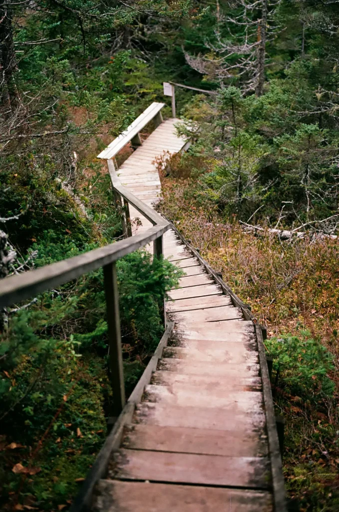 Trail stairs