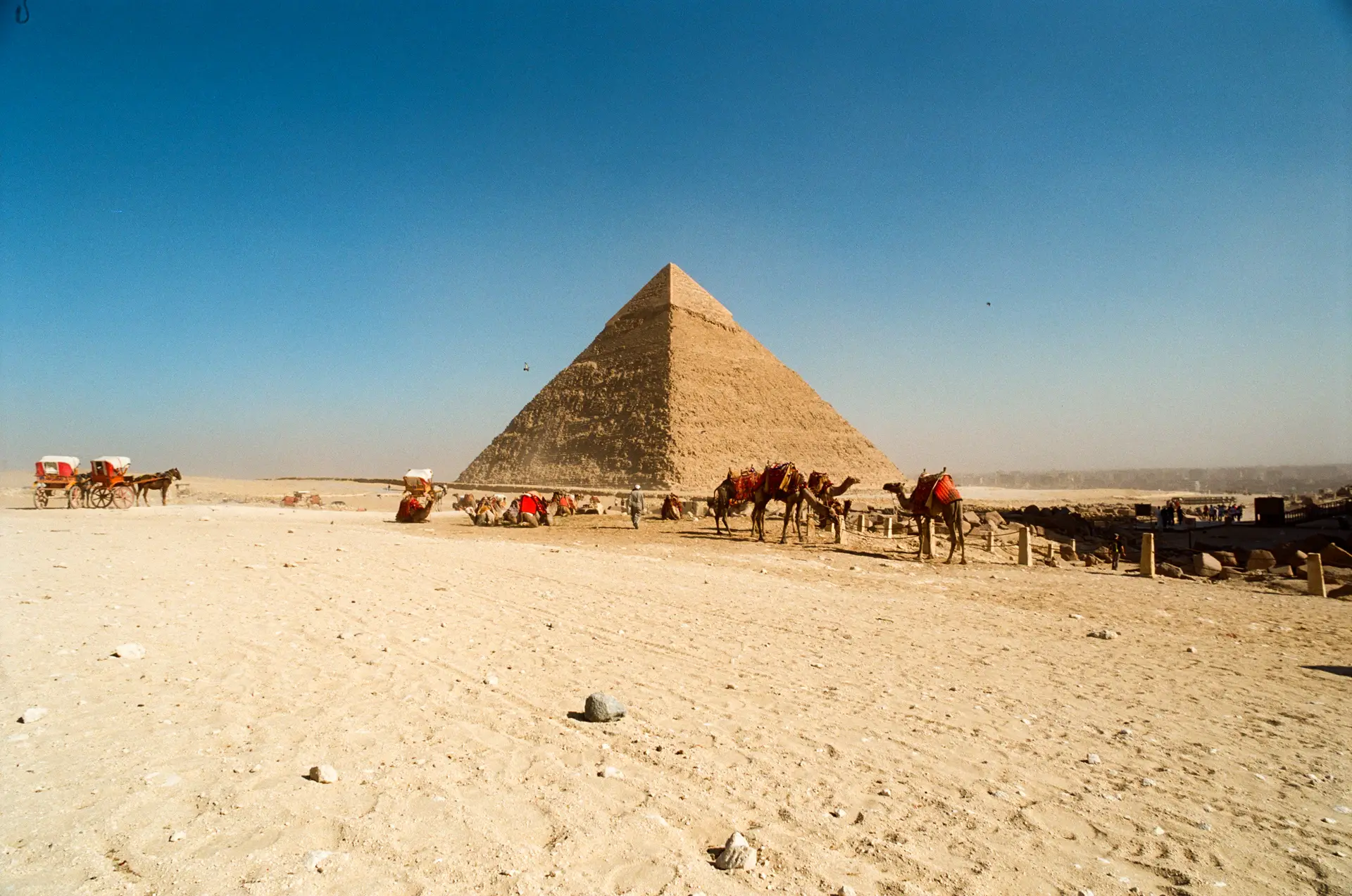 Giza Pyramids 