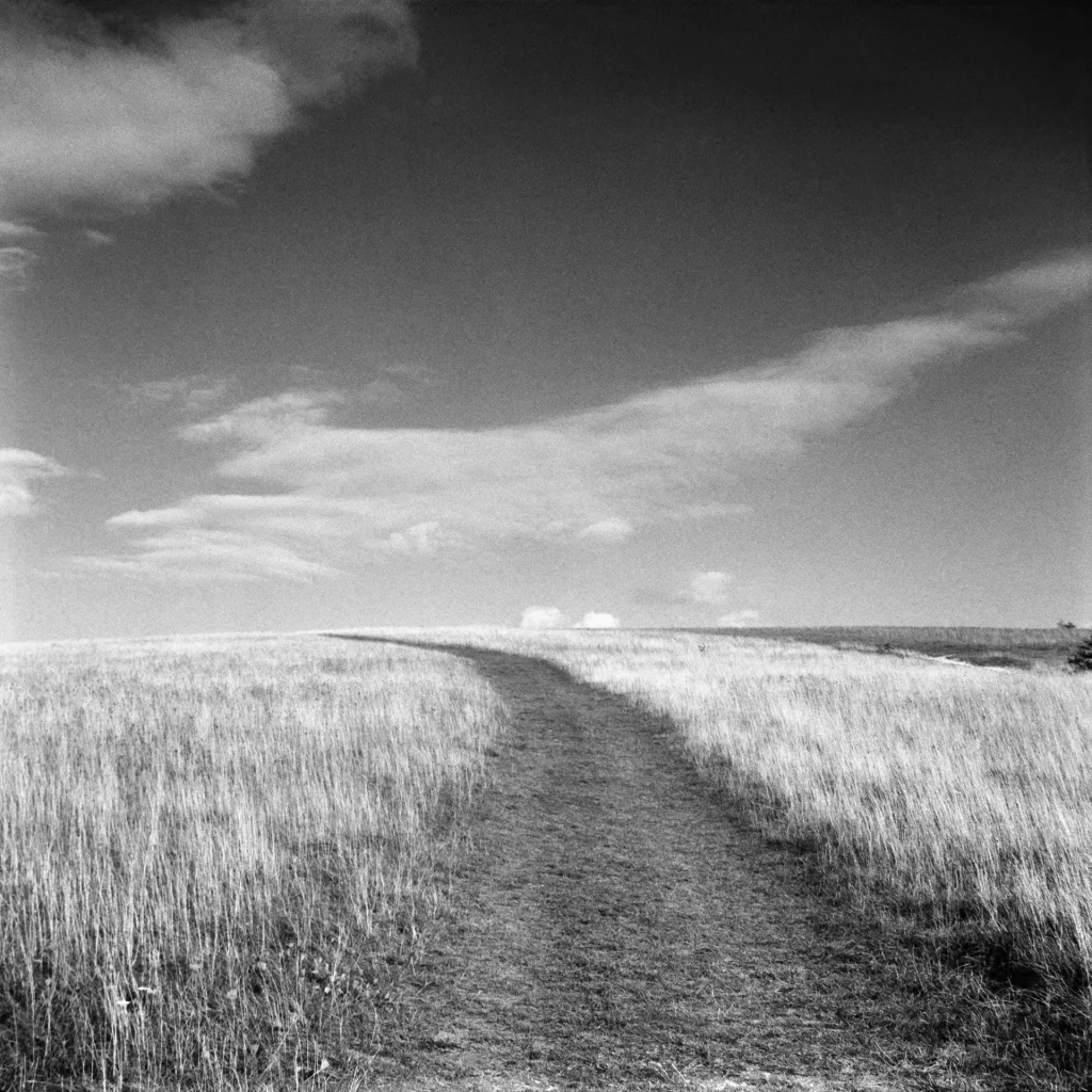 A grass path leading to the top of a hill with fluffy clouds