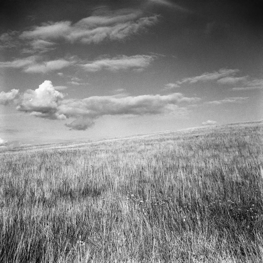 A grass plain, with an angled horizon, with fluffy clouds