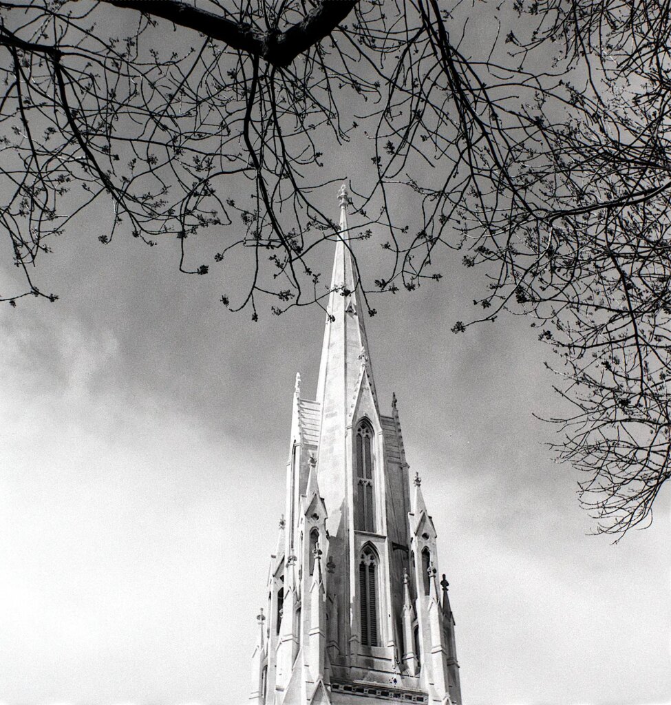 Spire of Dunedin's First Church.