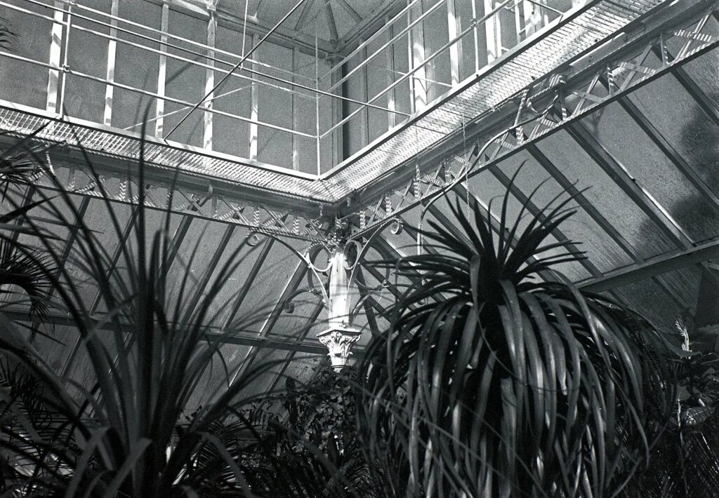 Tropical House, Dunedin Botanic Gardens