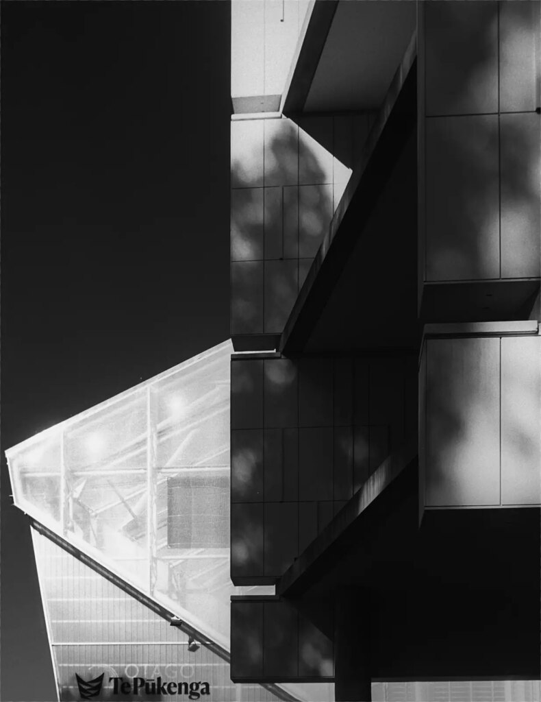 Detail, Forsyth Barr Stadium, Dunedin, New Zealand - Superpan 200/ IR 720 infrared filter.