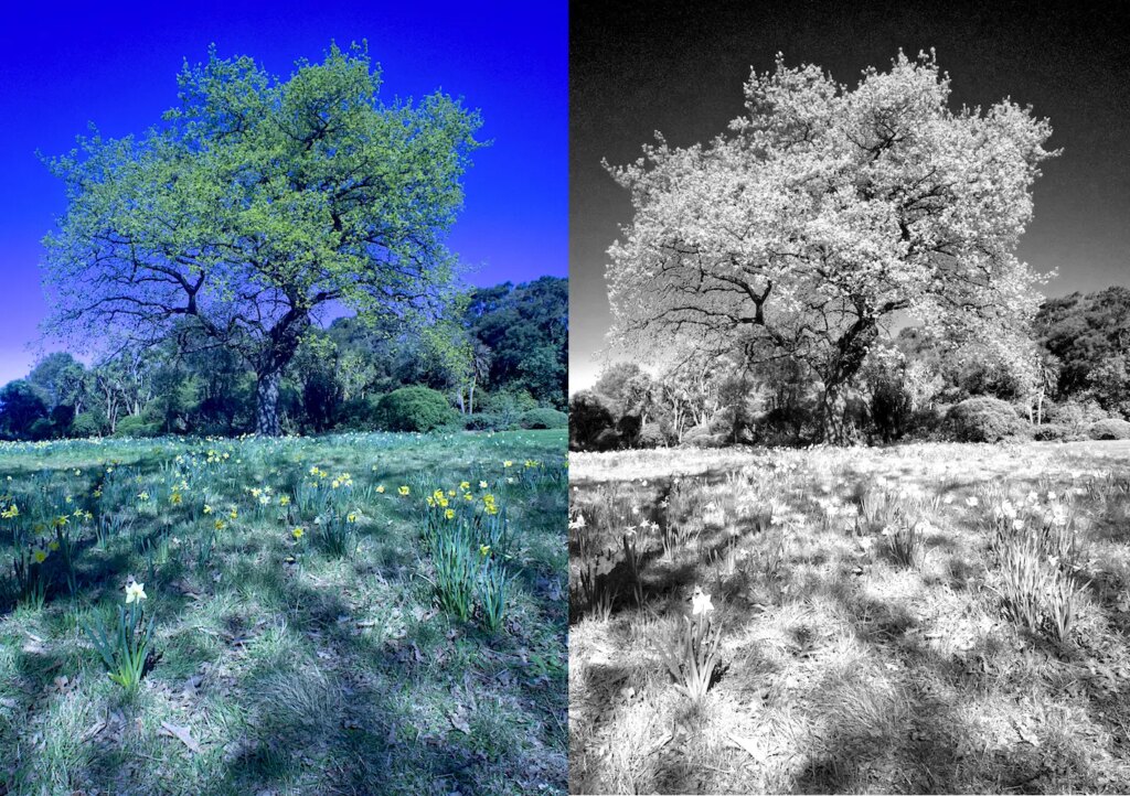 Software conversion to infrared comparison.