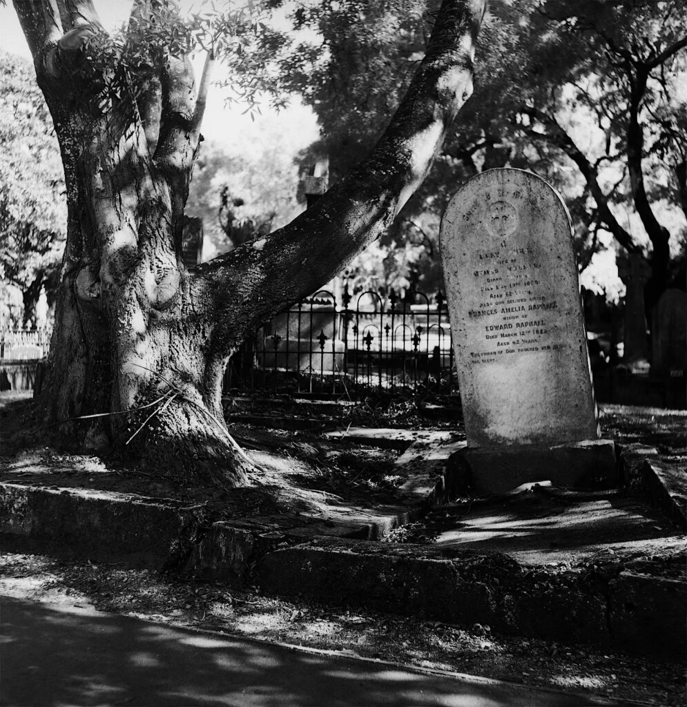 Southern Cemetery. Dunedin, New Zealand - Superpan 200/IR 720 infrared filter.