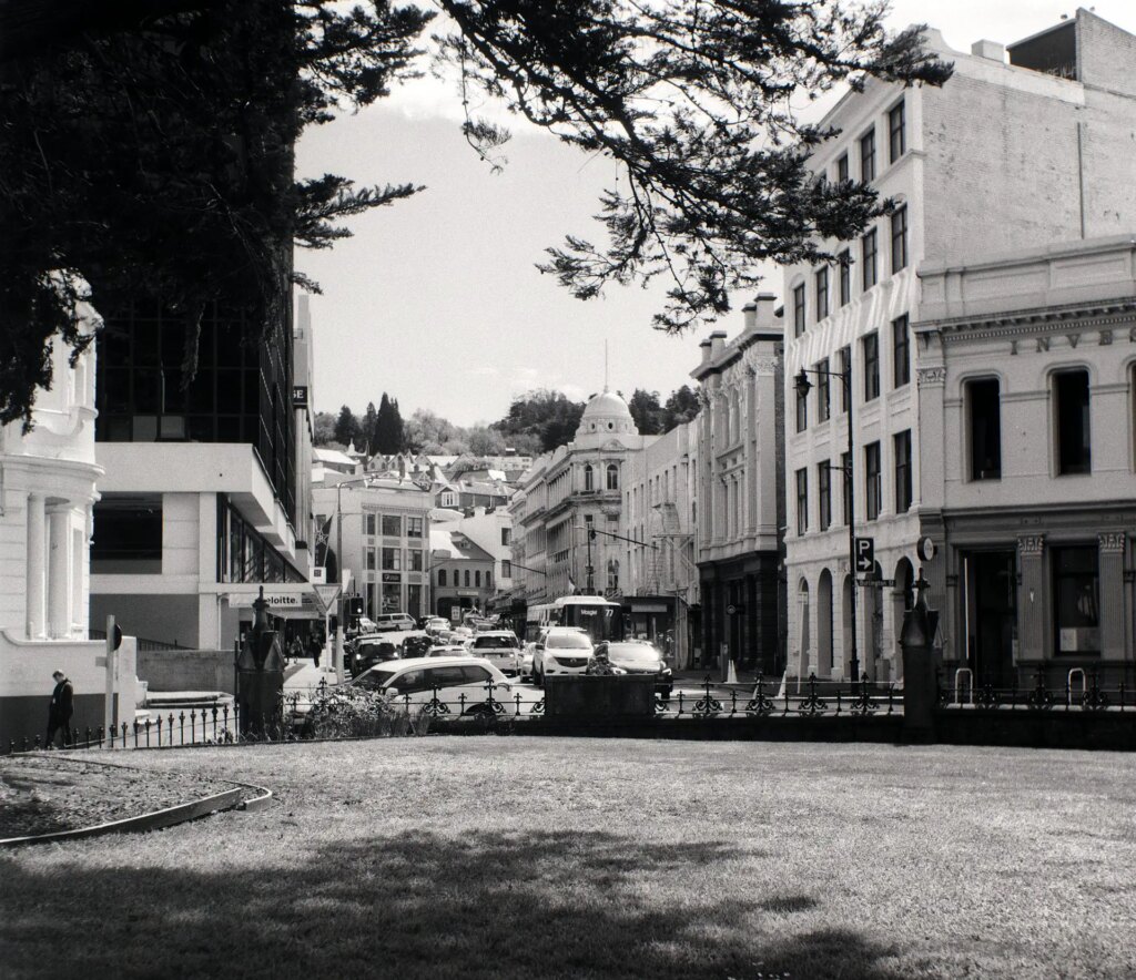 Corner of Dunedin's First Church churchyard.