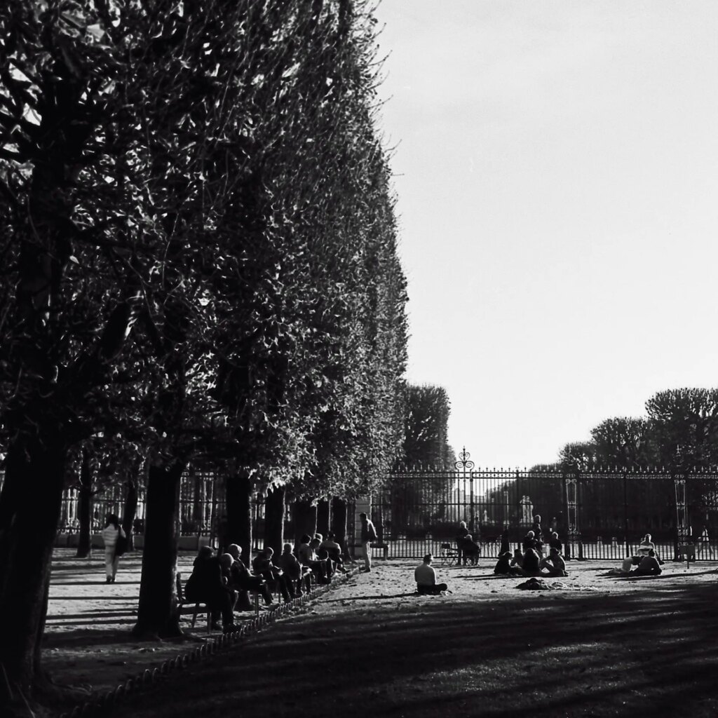 Jardin du Luxembourg on black and white film