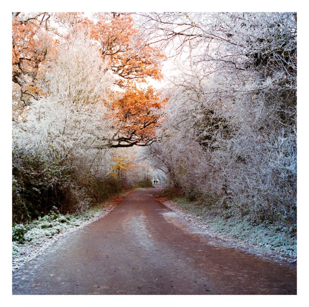Frosty road with walkers