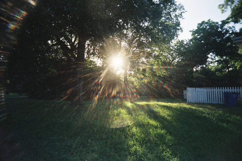 Sun flare across a green lawn, taken with a White Slim Angel 35mm plastic point and shoot film camera.
