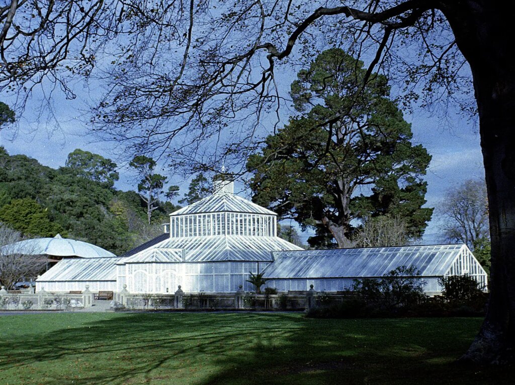 Minolta Autopak 460 Tx image of Dunedin Botanic Gardens Tropical House taken with standard lens.