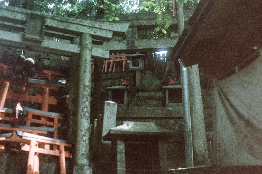 A hand full of small shrines with miniature tori gates on a hill