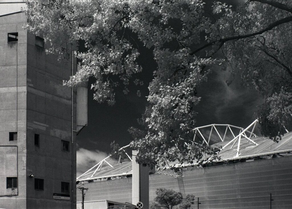 Forsyth Barr stadium, Dunedin.