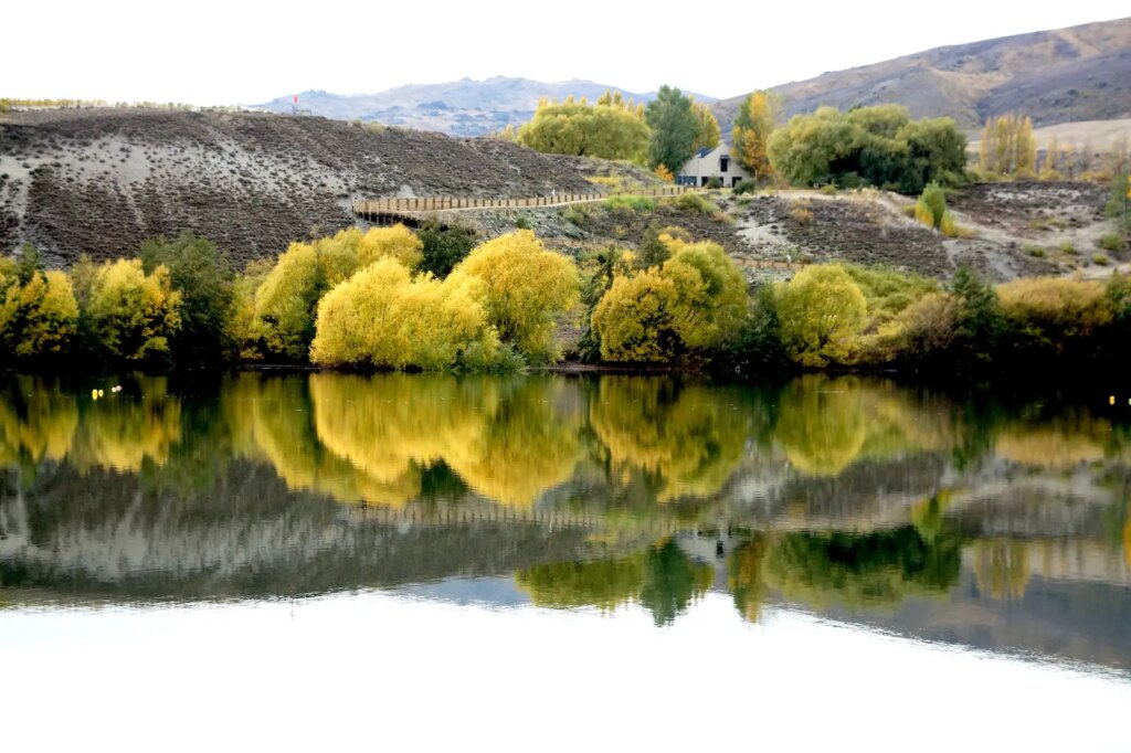 New Zealand wine country.