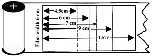 120 film frame formats