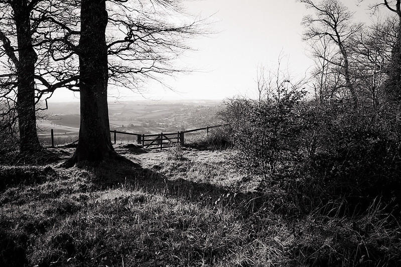 The Bromyard Downs