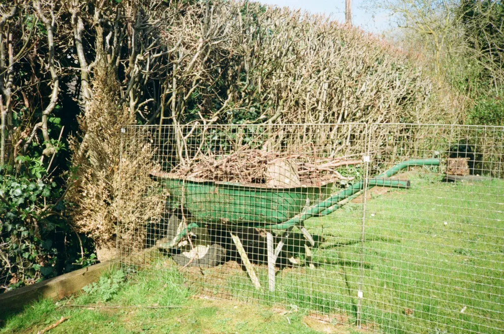 Wheelbarrow of Twigs Behind Fence