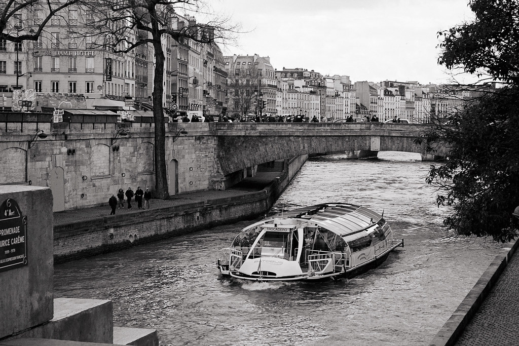 The seine