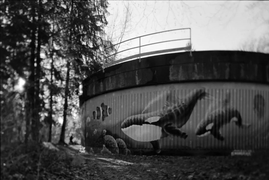 Whale graffiti