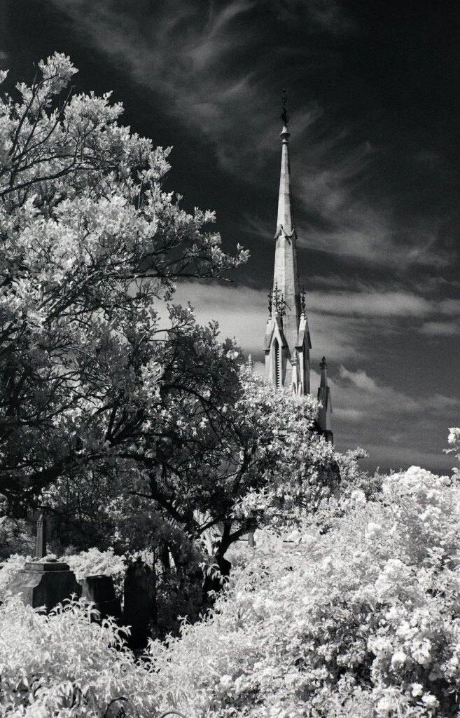 Spire of Larnach's Memorial, Northern Cemetery, Dunedin.