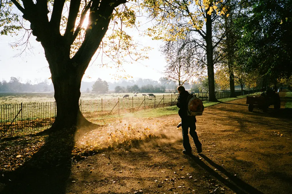 Christchurch Meadow, Oxford - Portra 400 film