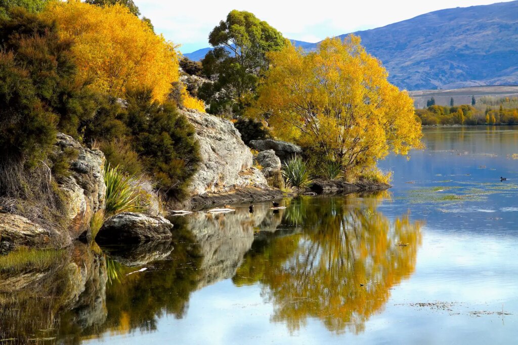 Autumn on Lake Dunstan.