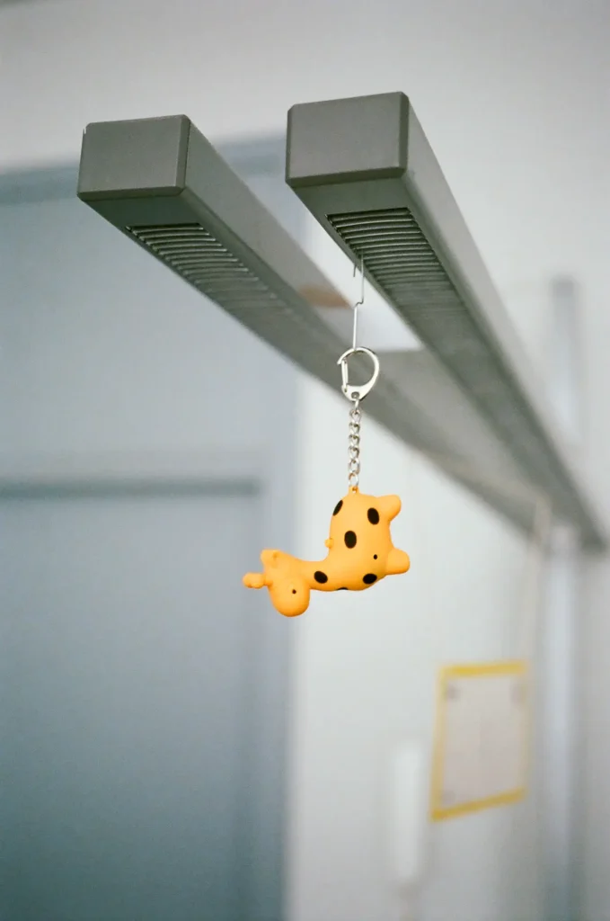 giraffe keychain