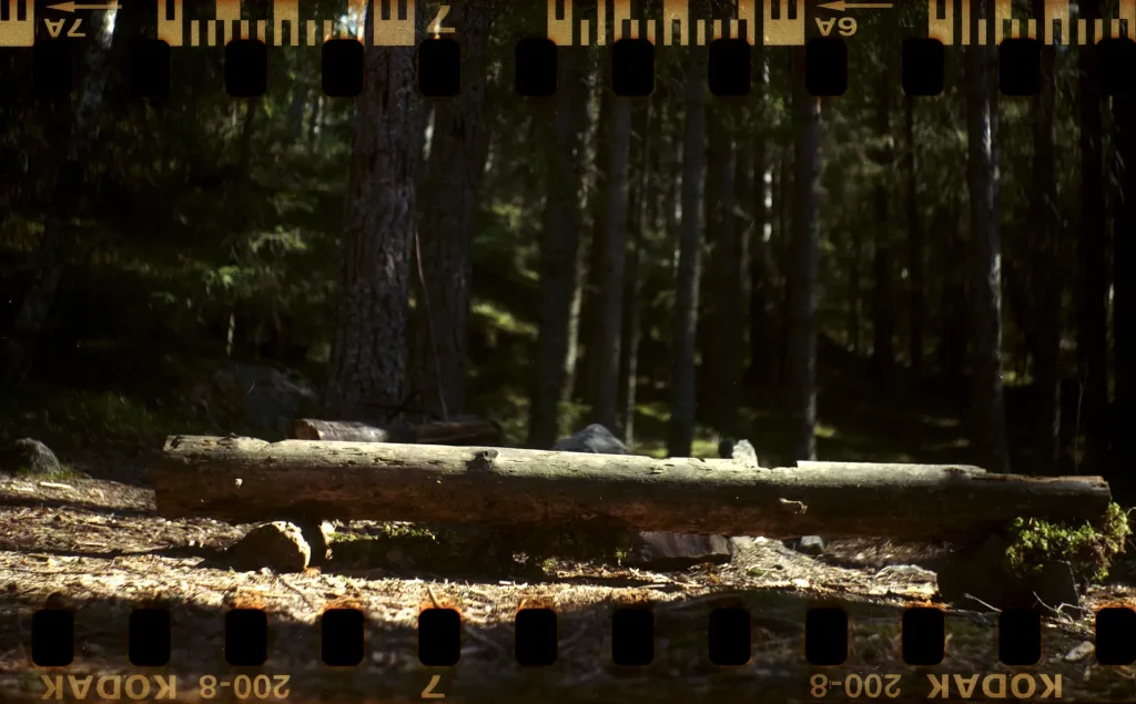 Log bench