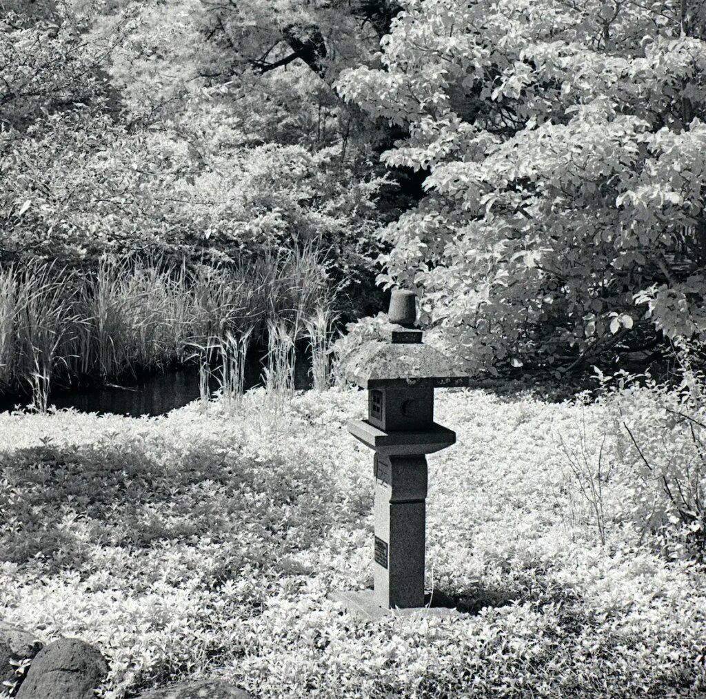 Example of need to consider tone values. Parts of stone feature have merged completely with foliage.