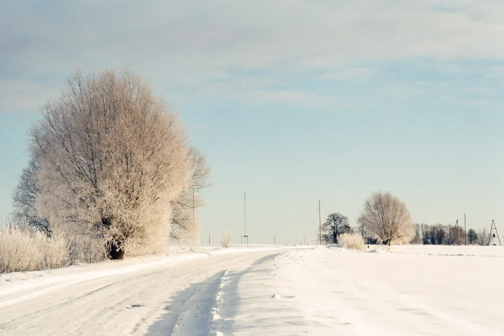 Photo of a countryside scene in winter shot on slide film.
