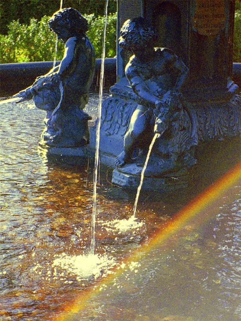 Minolta Autopak 460 Tx detail of fountain in Dunedin Botanic Gardens taken with telephoto lens showing flare.