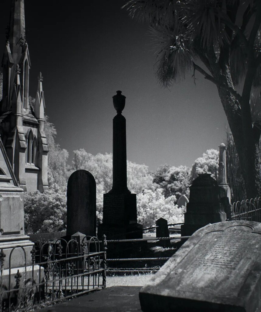In Dunedin's Northern Cemetry on Rollei Infrared with Flexaret IV and R72 filter.