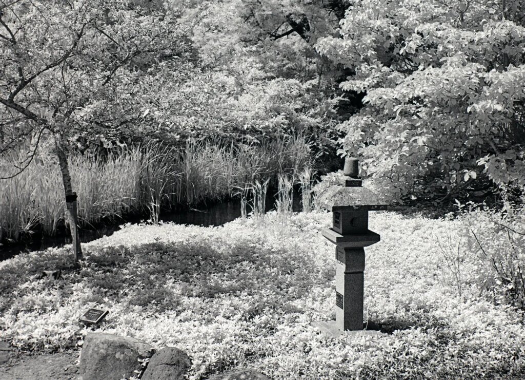 Botanic Gardens, Dunedin.