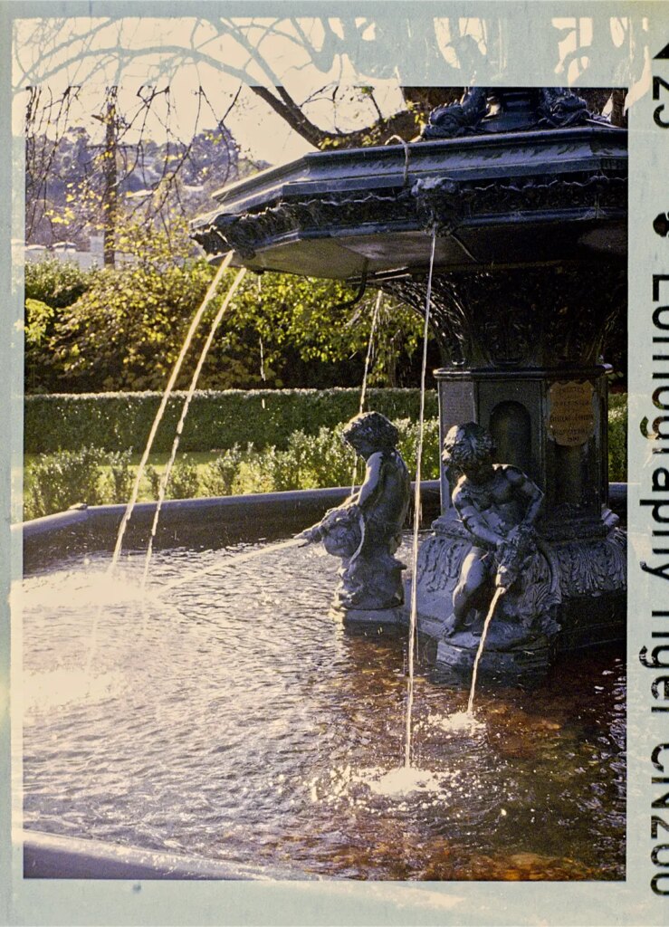 Minolta Autopak 460 Tx detail of fountain in Dunedin Botanic Gardens taken with standard lens showing cropping by overprinting on film.