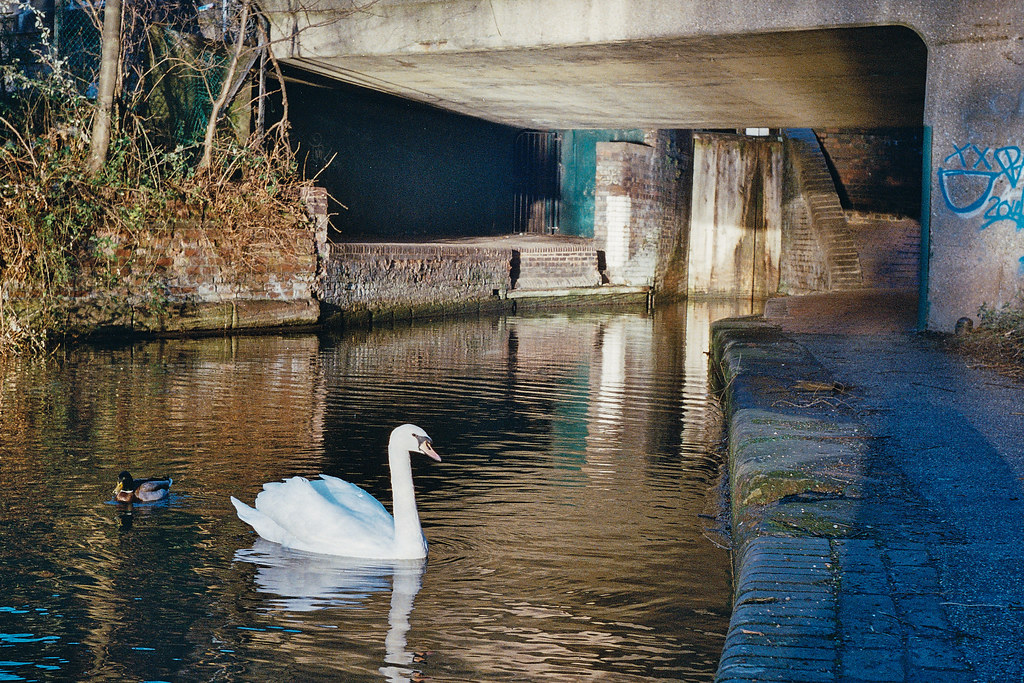 First roll with Leica M3