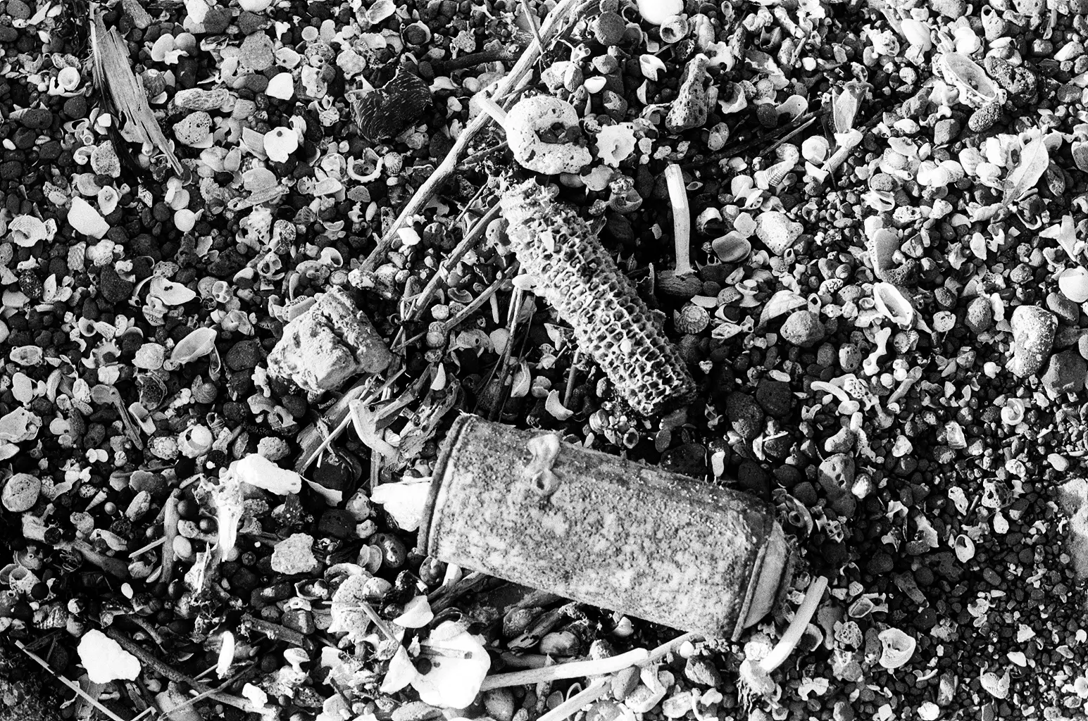 Beach detritus