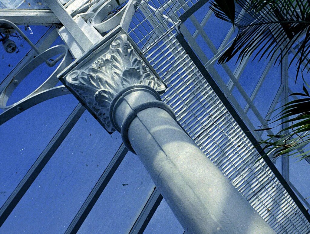 Minolta Autopak 460 Tx detail of ironwork etc in Dunedin Botanic Gardens Tropical House.