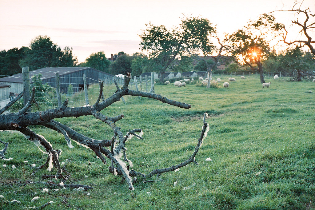 First Roll with M6