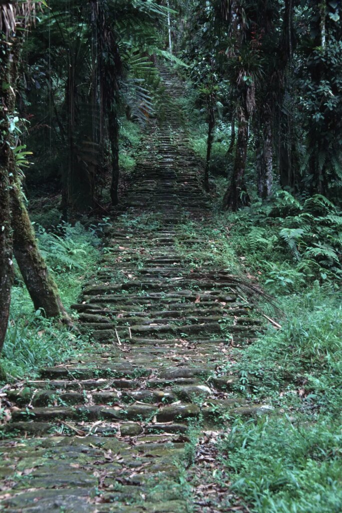 2 The famous ‘1000 steps’ leading up to Ciudad Perdida (the ‘Lost City’) in the Sierra Nevada de Santa Marta, Colombia. Olympus OM40, Sigma mid-range zoom. 1987.