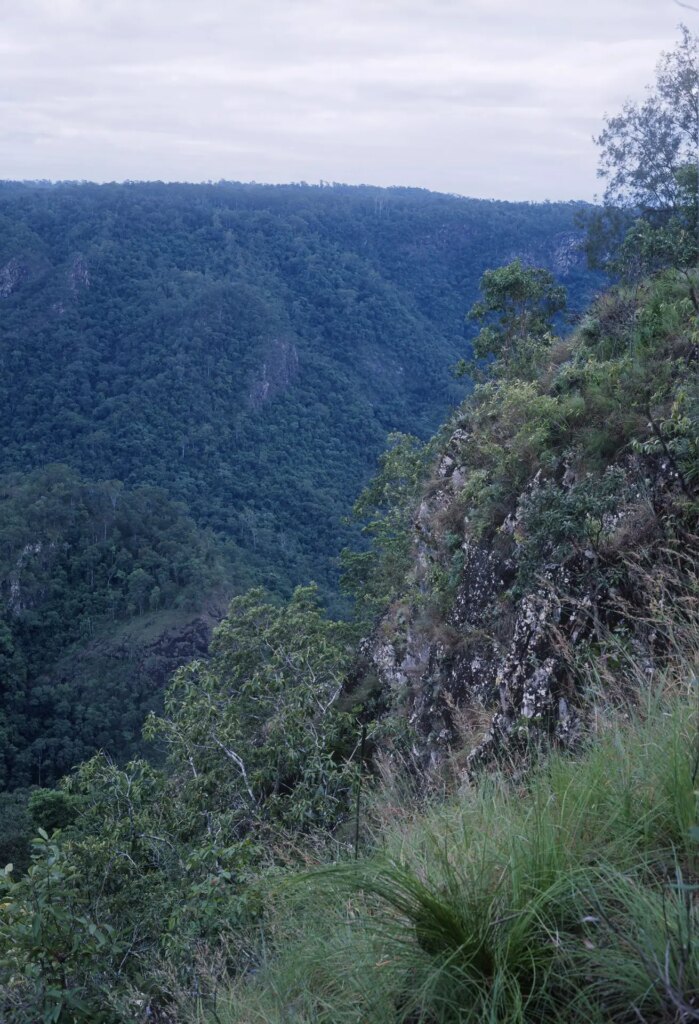 Wallaman Valley, June 2022. 65mm F6.5 @ F11.5. 1/8. Velvia 50. 