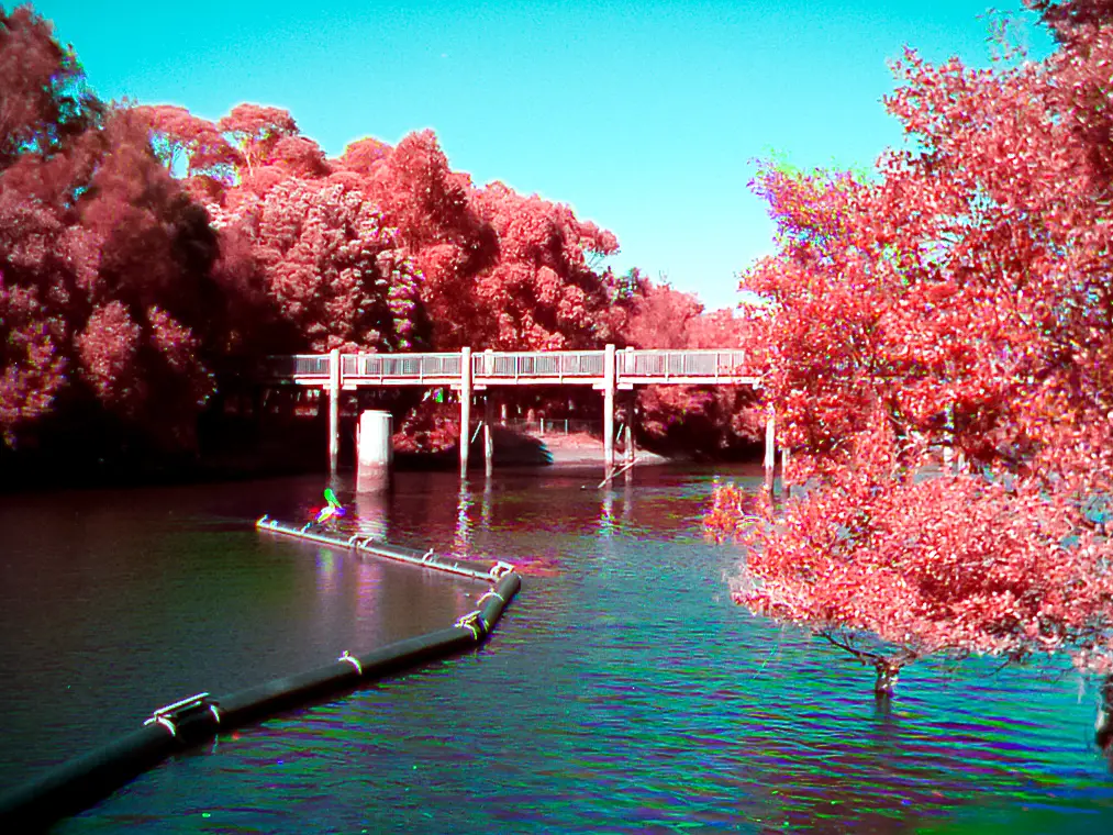 Infrared trichrome of a bridge and river