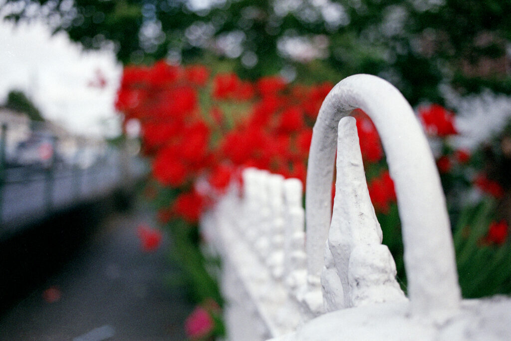 East Wall fences